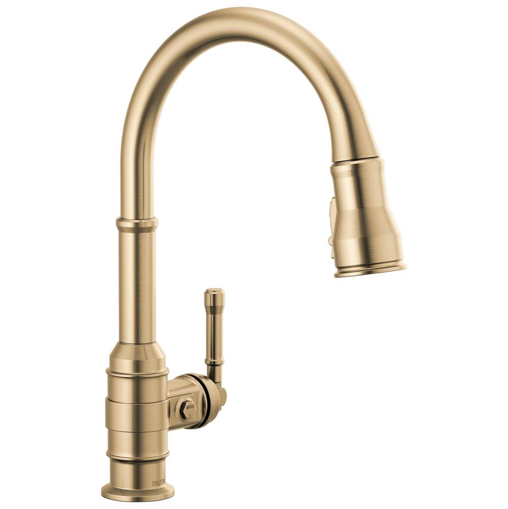 Delta Faucet Broderick™ Single Handle Pull-Down Kitchen Faucet
