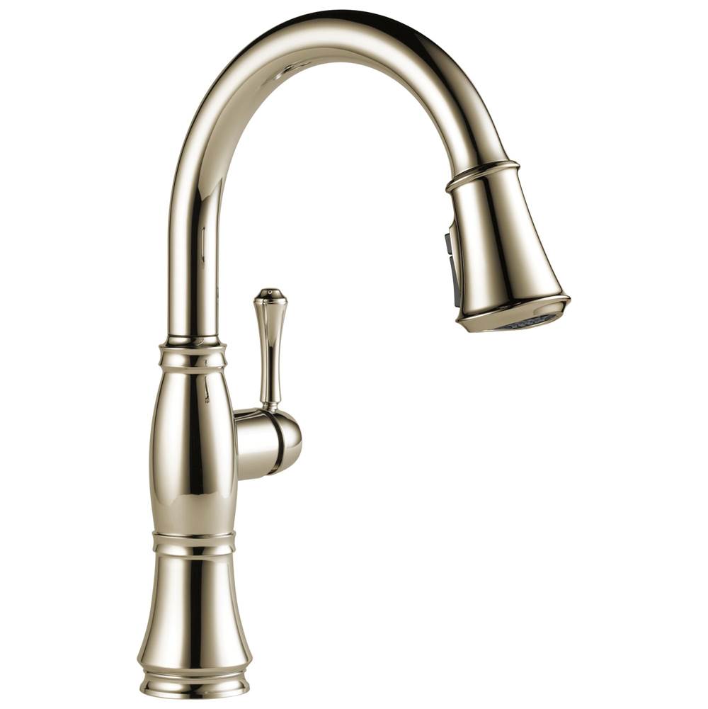 Delta Faucet Cassidy™ Single Handle Pulldown Kitchen Faucet