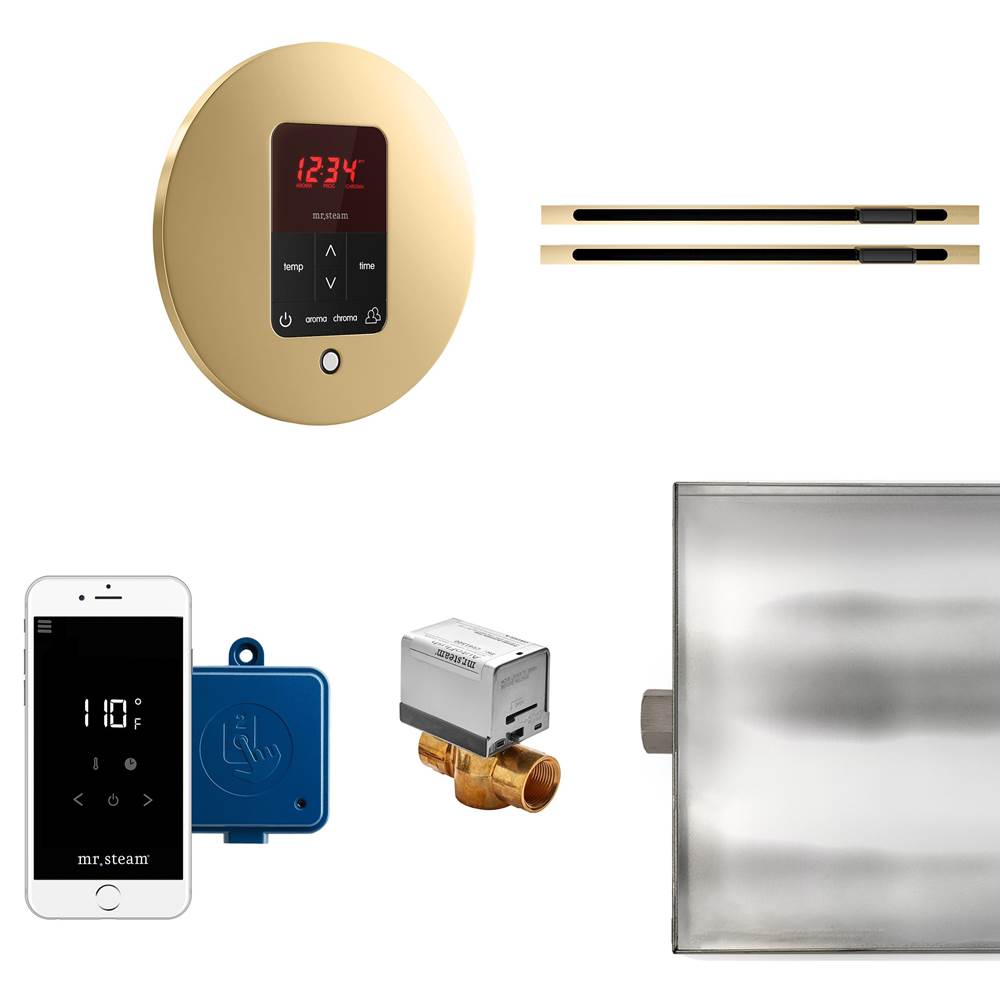 Mr. Steam Butler Max Linear Steam Shower Control Package with iTempoPlus Control and Linear SteamHead in Round Polished Brass